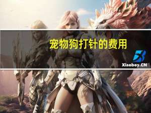 宠物狗打针的费用