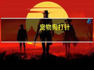 宠物狗打针