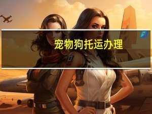 宠物狗托运办理