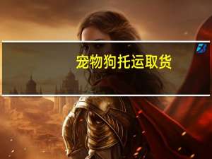 宠物狗托运取货