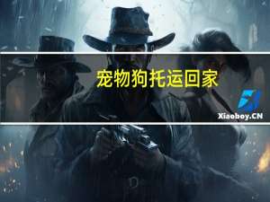 宠物狗托运回家