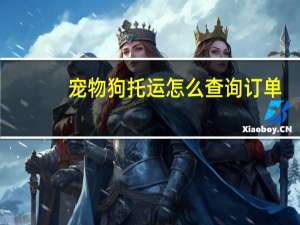 宠物狗托运怎么查询订单