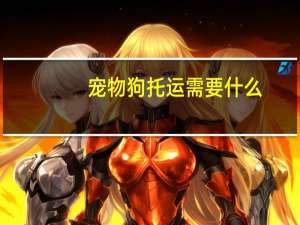 宠物狗托运需要什么