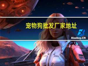 宠物狗批发厂家地址