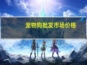 宠物狗批发市场价格