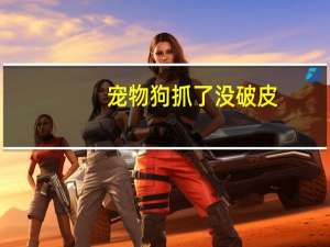 宠物狗抓了没破皮