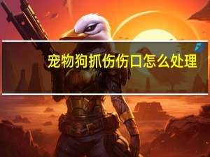 宠物狗抓伤伤口怎么处理