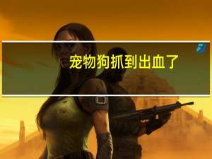 宠物狗抓到出血了