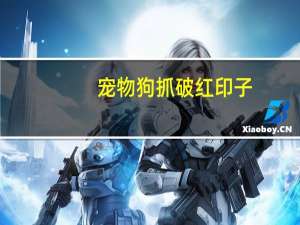 宠物狗抓破红印子