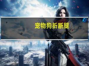 宠物狗折断腿
