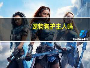 宠物狗护主人吗