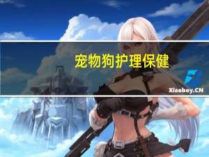 宠物狗护理保健
