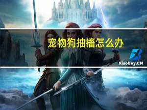 宠物狗抽搐怎么办