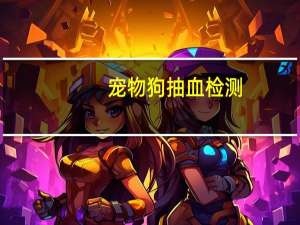 宠物狗抽血检测