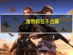 宠物狗拉不出屎