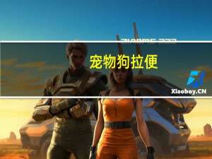 宠物狗拉便