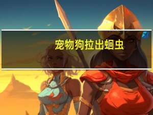 宠物狗拉出蛔虫