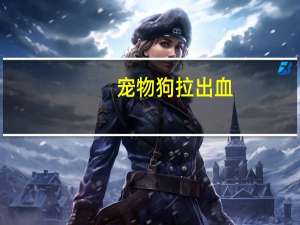 宠物狗拉出血