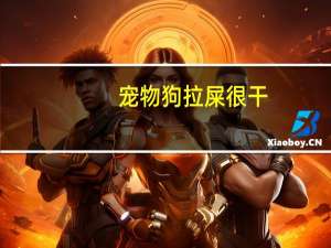 宠物狗拉屎很干