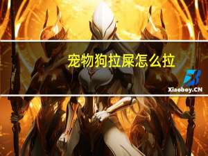 宠物狗拉屎怎么拉