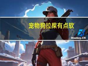 宠物狗拉屎有点软