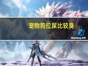 宠物狗拉屎比较臭