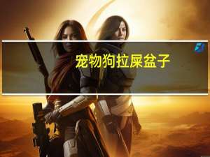 宠物狗拉屎盆子