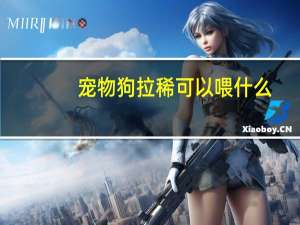 宠物狗拉稀可以喂什么