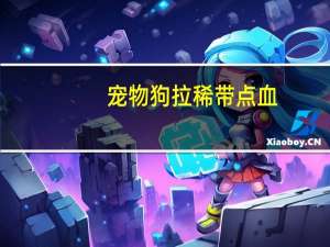 宠物狗拉稀带点血
