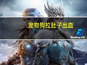 宠物狗拉肚子出血