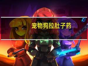 宠物狗拉肚子药