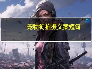 宠物狗拍摄文案短句