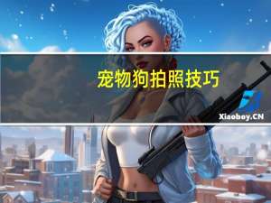 宠物狗拍照技巧