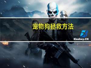 宠物狗拯救方法