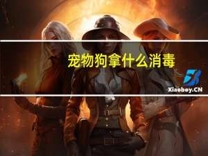 宠物狗拿什么消毒