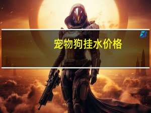 宠物狗挂水价格
