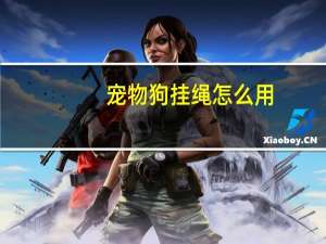 宠物狗挂绳怎么用