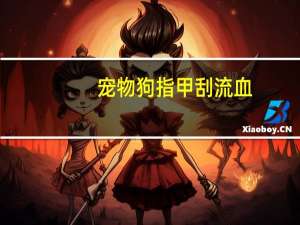 宠物狗指甲刮流血