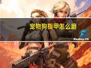 宠物狗指甲怎么磨