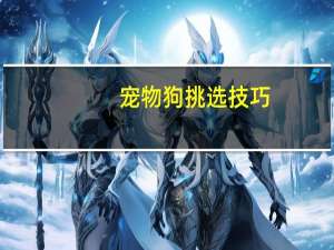 宠物狗挑选技巧