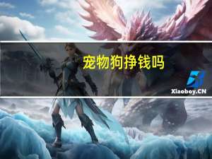 宠物狗挣钱吗