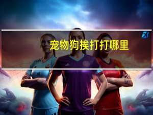 宠物狗挨打打哪里