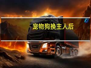 宠物狗换主人后