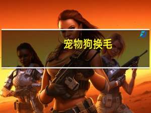 宠物狗换毛