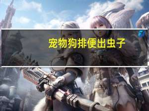 宠物狗排便出虫子