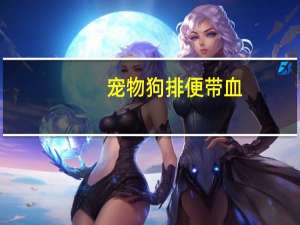 宠物狗排便带血
