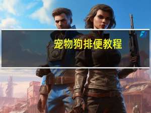 宠物狗排便教程