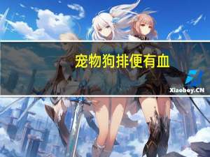 宠物狗排便有血