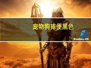 宠物狗排便黑色