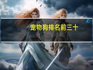 宠物狗排名前三十
